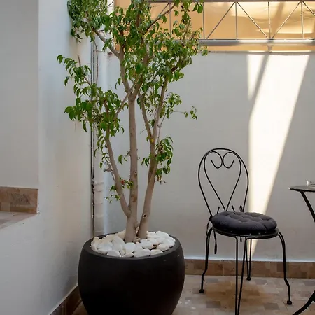 Zoufi Cozy Living * باترا