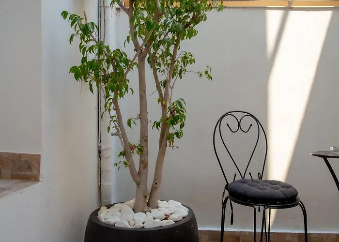 Zoufi Cozy Living * 파트라